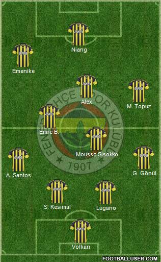 Fenerbahçe SK Formation 2011