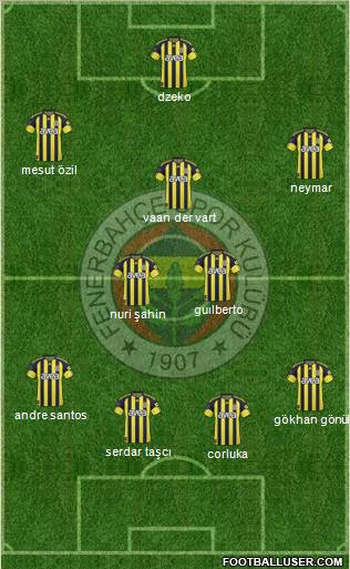 Fenerbahçe SK Formation 2011