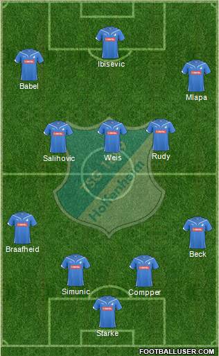 TSG 1899 Hoffenheim Formation 2011