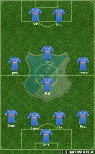 TSG 1899 Hoffenheim Formation 2011