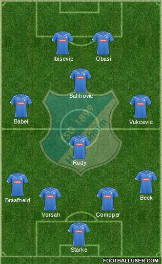 TSG 1899 Hoffenheim Formation 2011