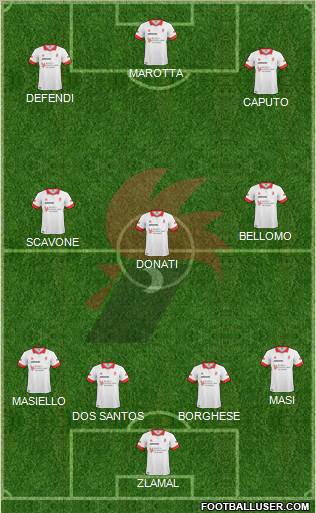 Bari Formation 2011