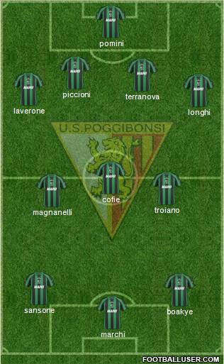 Poggibonsi Formation 2011