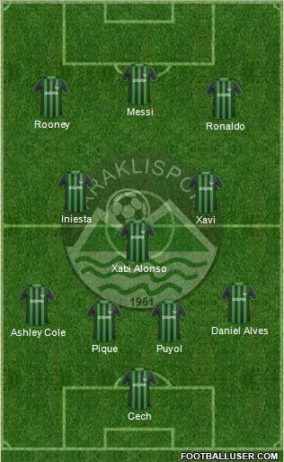 Araklispor Formation 2011