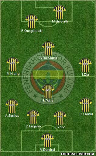 Fenerbahçe SK Formation 2011