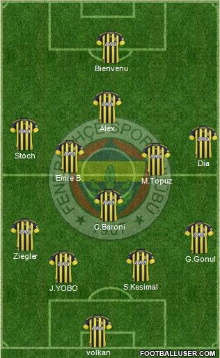 Fenerbahçe SK Formation 2011