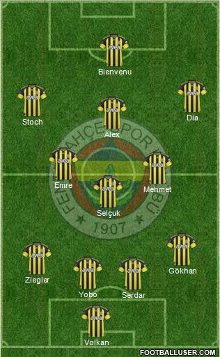 Fenerbahçe SK Formation 2011