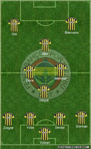 Fenerbahçe SK Formation 2011