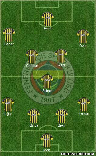 Fenerbahçe SK Formation 2011