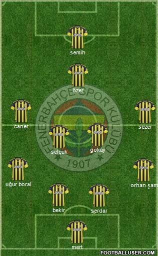 Fenerbahçe SK Formation 2011