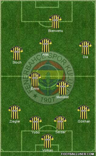 Fenerbahçe SK Formation 2011