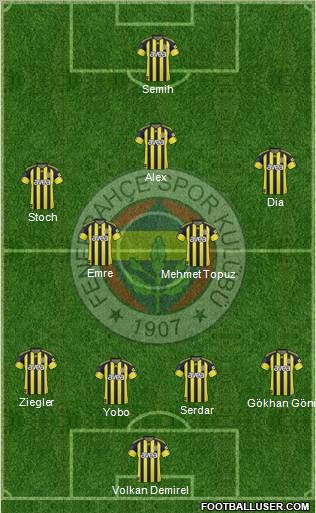 Fenerbahçe SK Formation 2011