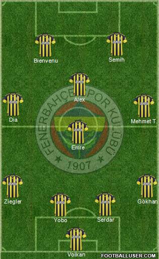 Fenerbahçe SK Formation 2011