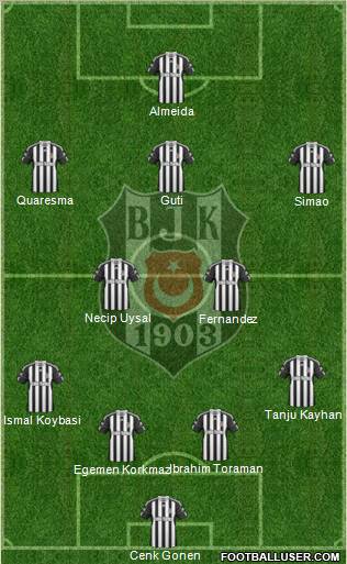 Besiktas JK Formation 2011