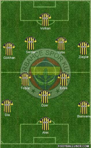 Fenerbahçe SK Formation 2011