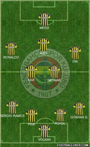 Fenerbahçe SK Formation 2011