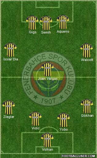 Fenerbahçe SK Formation 2011