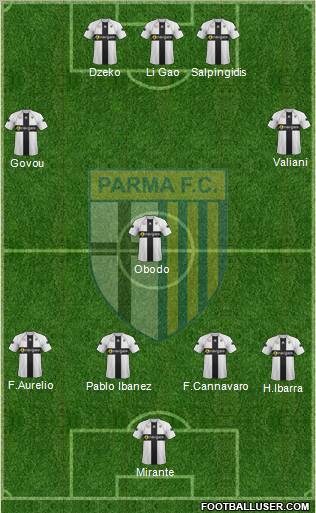 Parma Formation 2011