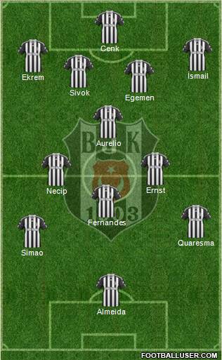 Besiktas JK Formation 2011