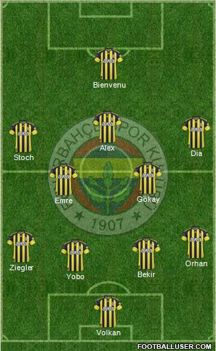 Fenerbahçe SK Formation 2011