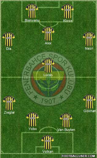 Fenerbahçe SK Formation 2011