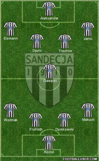 Sandecja Nowy Sacz Formation 2011