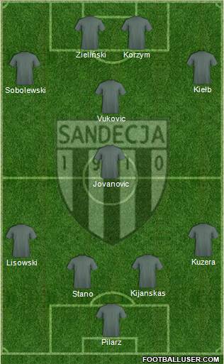 Sandecja Nowy Sacz Formation 2011