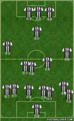 Newcastle United Formation 2011