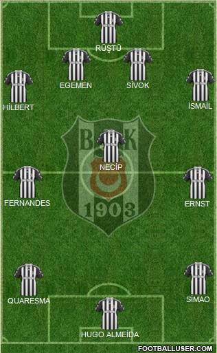 Besiktas JK Formation 2011