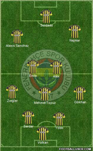 Fenerbahçe SK Formation 2011