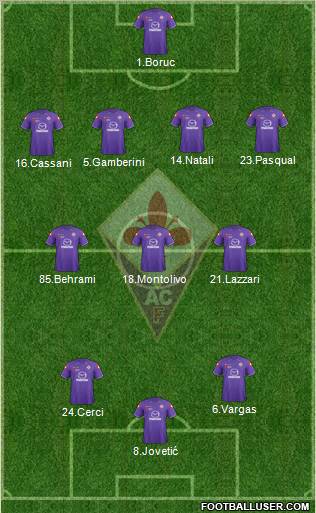 Fiorentina Formation 2011