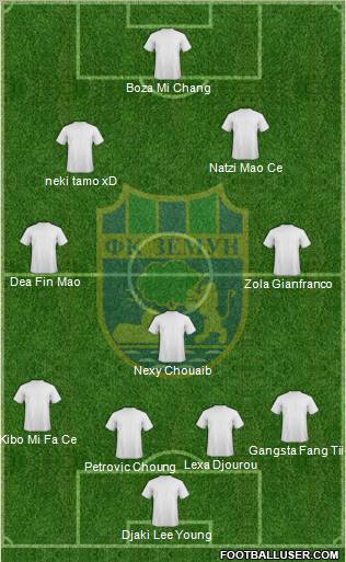 FK Zemun Formation 2011