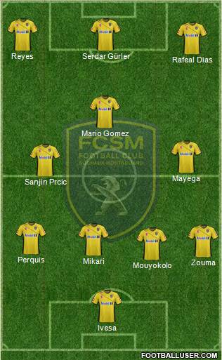 FC Sochaux-Montbéliard Formation 2011