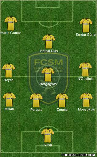 FC Sochaux-Montbéliard Formation 2011