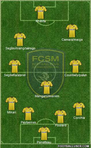 FC Sochaux-Montbéliard Formation 2011