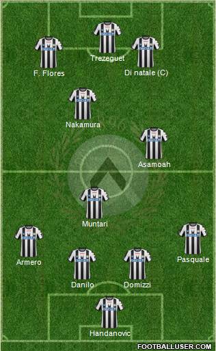 Udinese Formation 2011