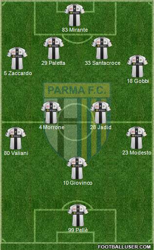 Parma Formation 2011