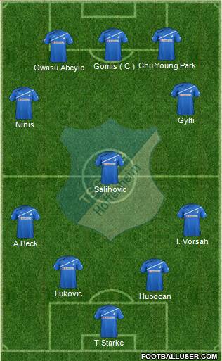 TSG 1899 Hoffenheim Formation 2011