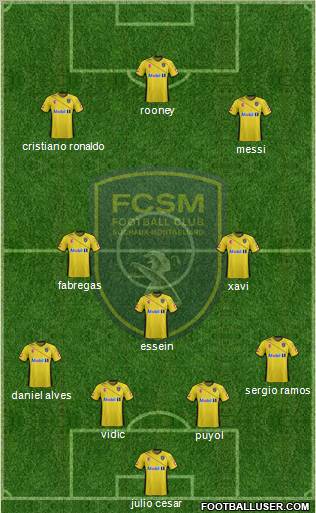 FC Sochaux-Montbéliard Formation 2011