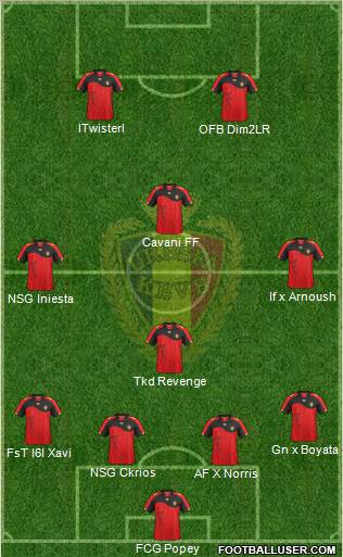 Belgium Formation 2011