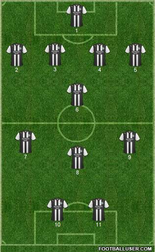 Newcastle United Formation 2011