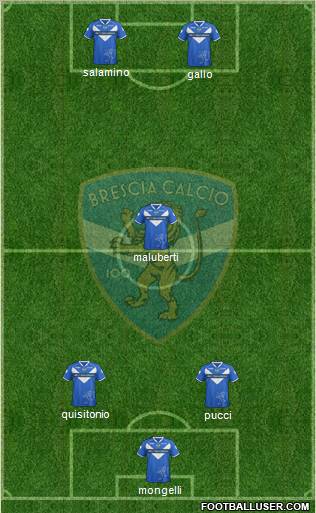 Brescia Formation 2011