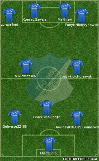 TSG 1899 Hoffenheim Formation 2011