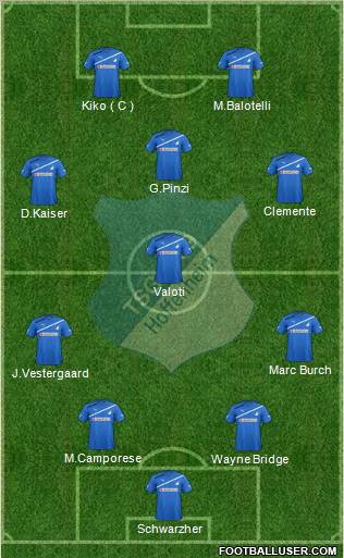 TSG 1899 Hoffenheim Formation 2011