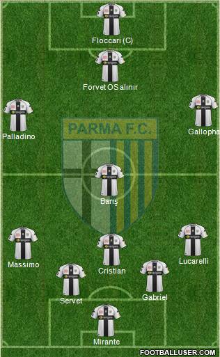 Parma Formation 2011