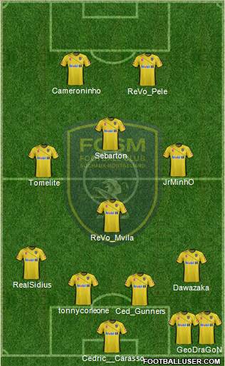 FC Sochaux-Montbéliard Formation 2011