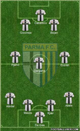 Parma Formation 2011