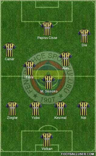 Fenerbahçe SK Formation 2011