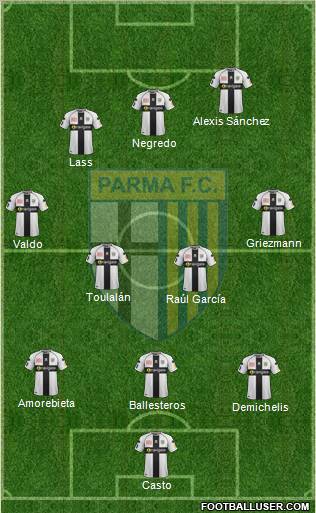 Parma Formation 2011