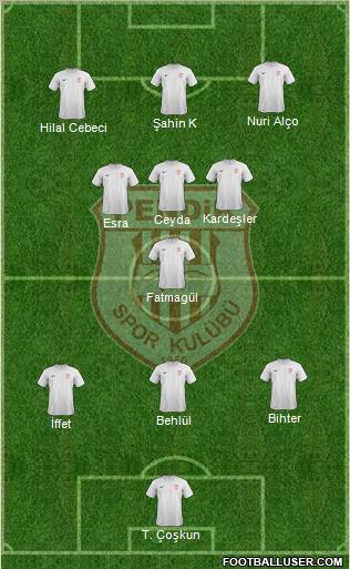 Pendikspor Formation 2011